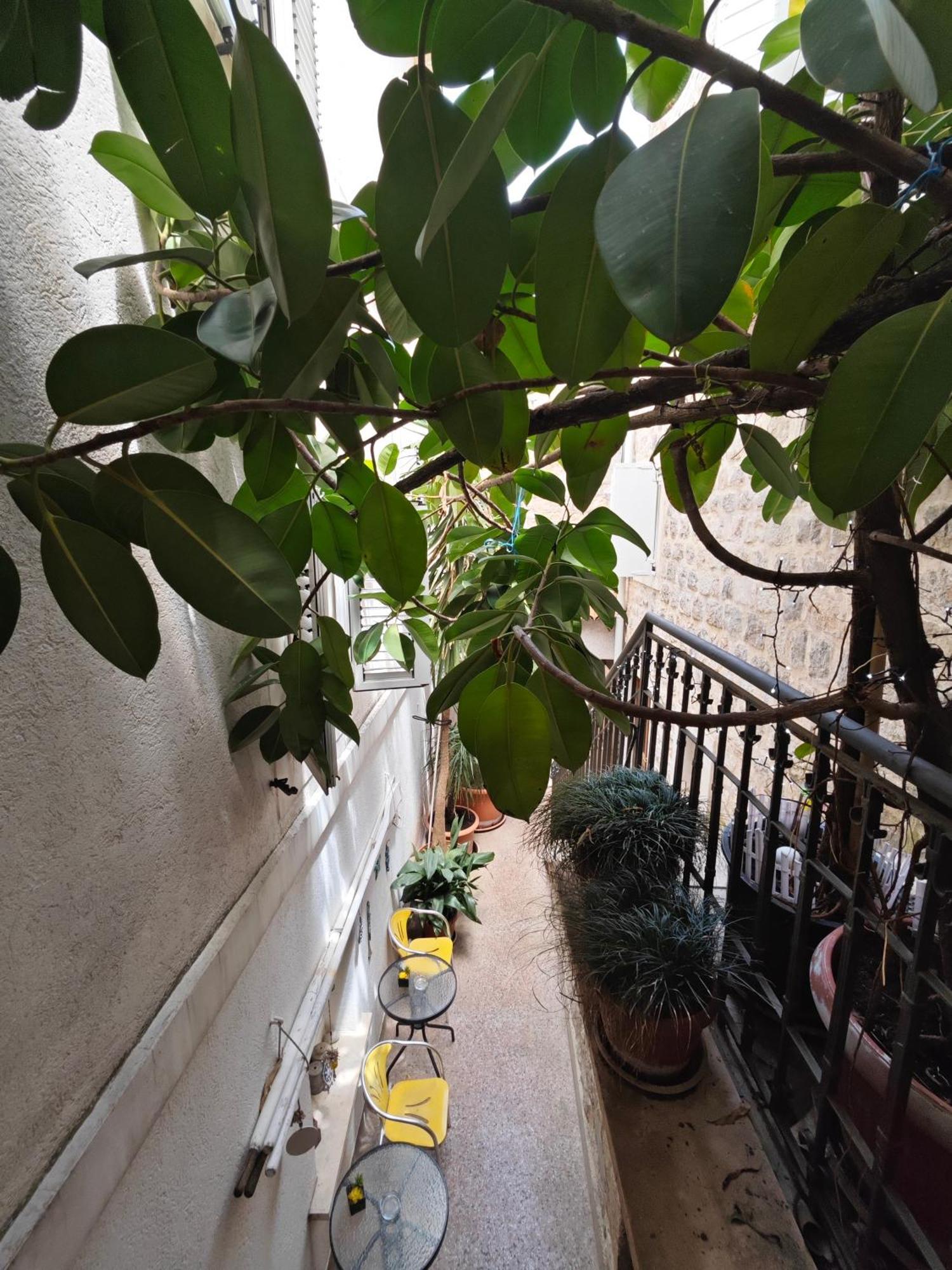Beatrix Suites Budva Buitenkant foto