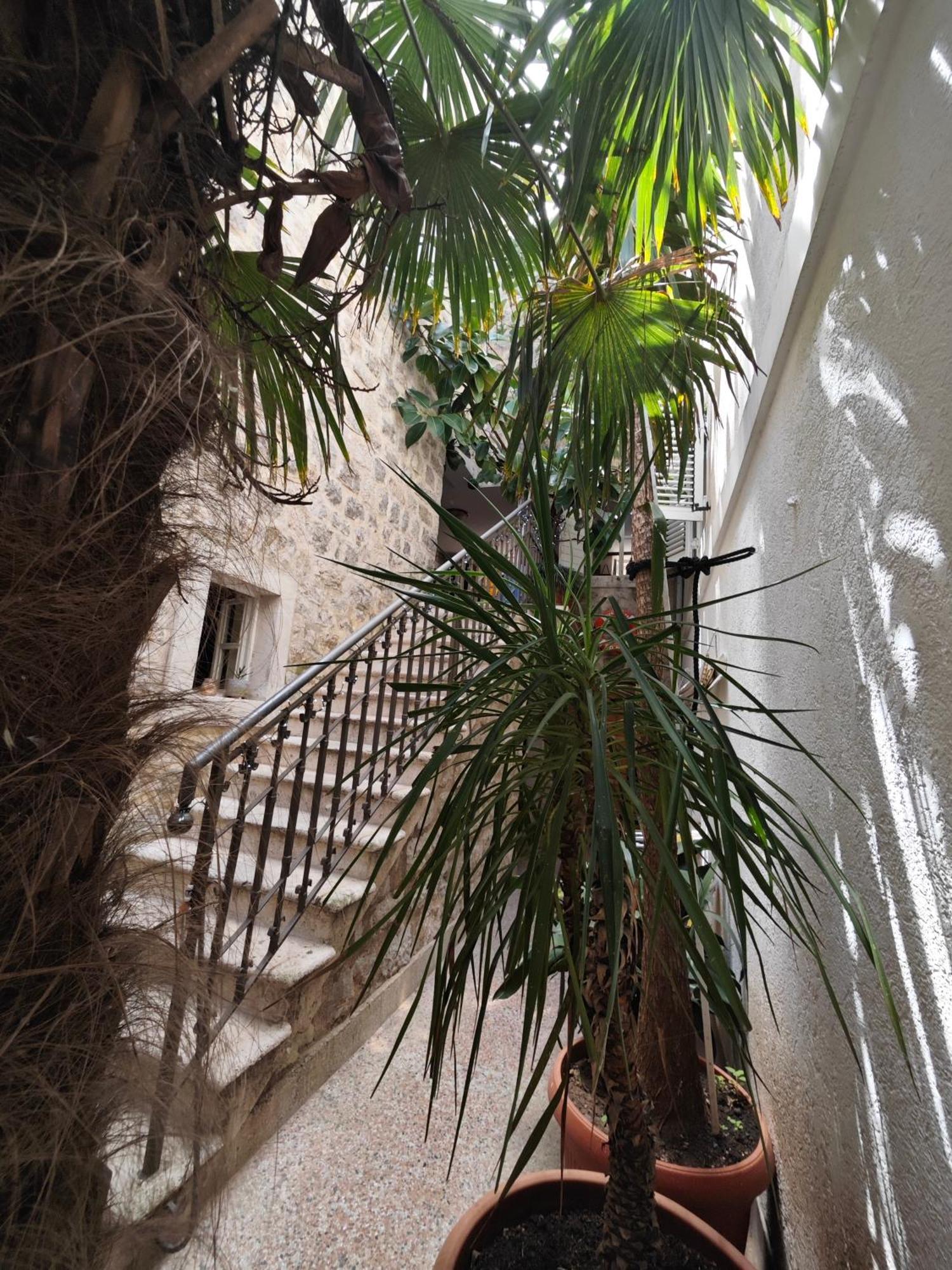 Beatrix Suites Budva Buitenkant foto